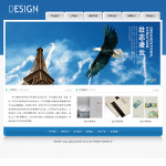廣告設(shè)計公司網(wǎng)站