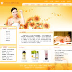 美容會所網(wǎng)站