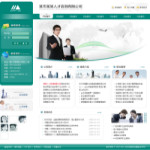 人才咨詢(xún)公司網(wǎng)站